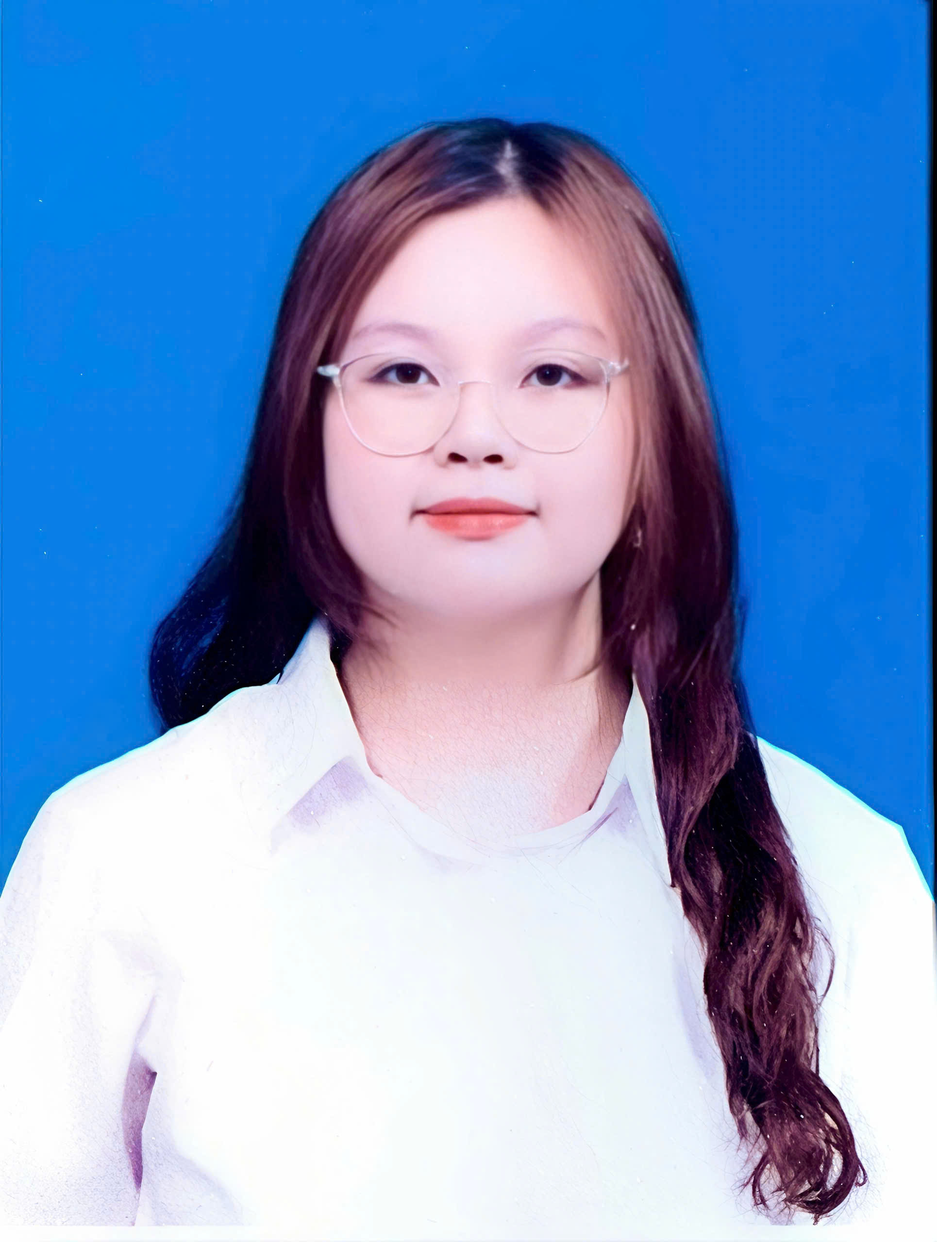 Vũ Trần Mỹ Anh
