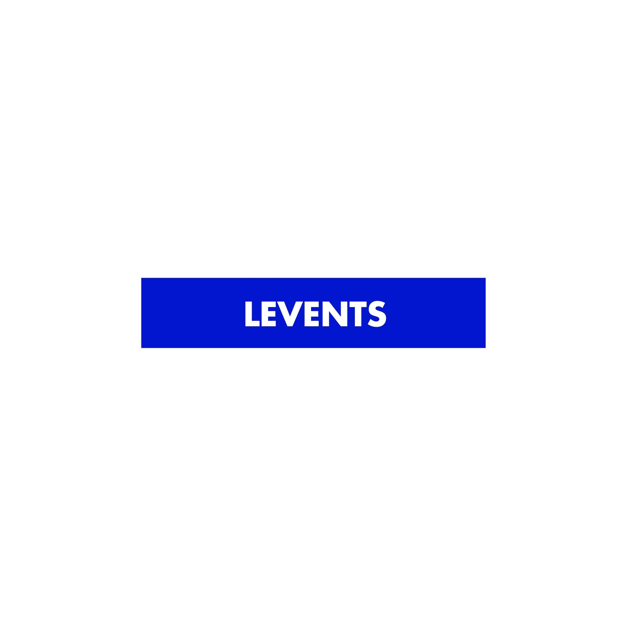 Công ty Cổ phẩn Levents Global