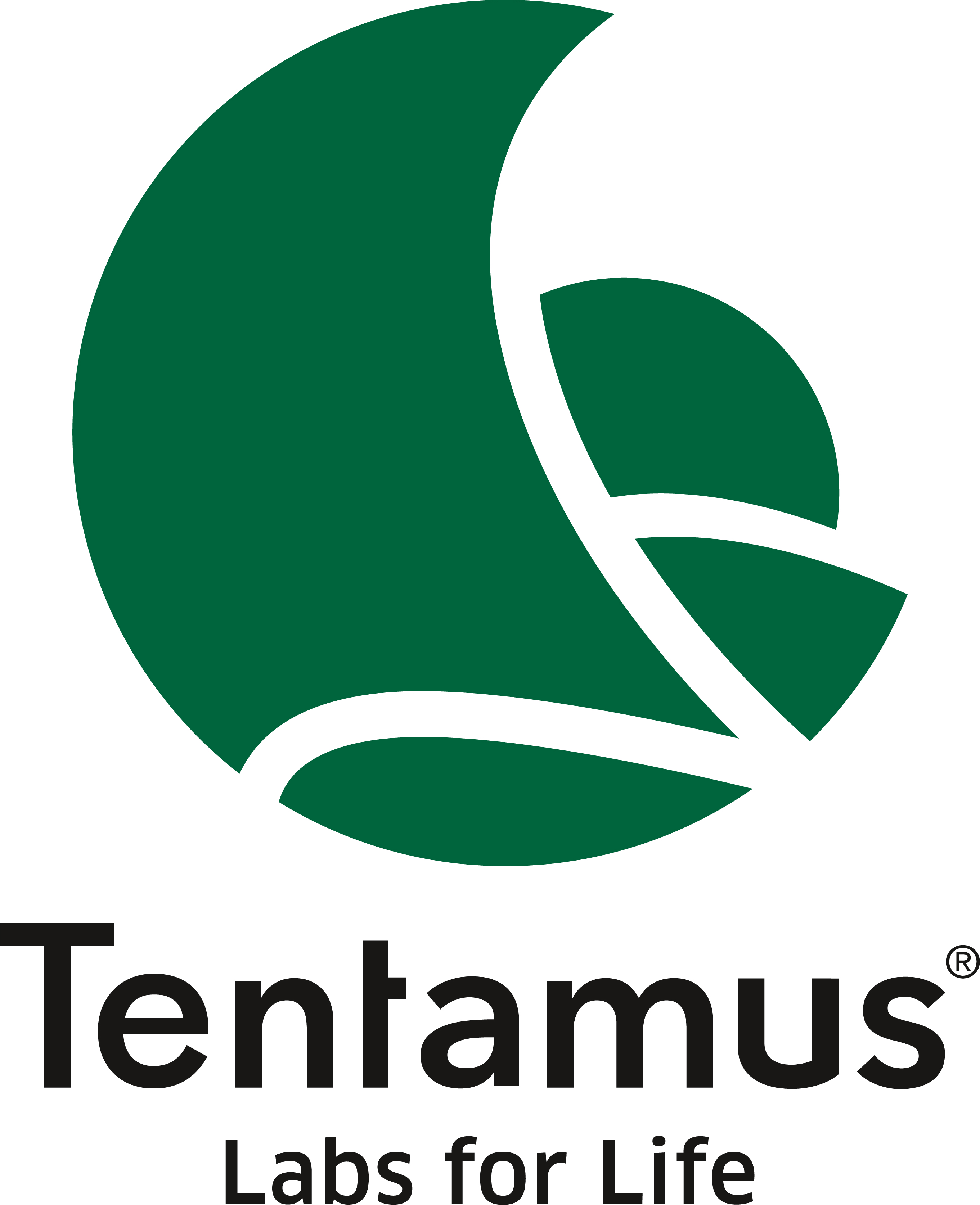 TENTAMUS VIETNAM LLC